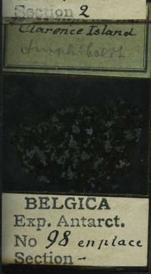 belgica antarctica expeditie 98b.jpg