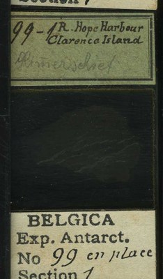 belgica antarctica expeditie 99.1b.jpg