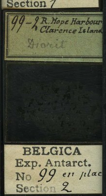 belgica antarctica expeditie 99.2b.jpg